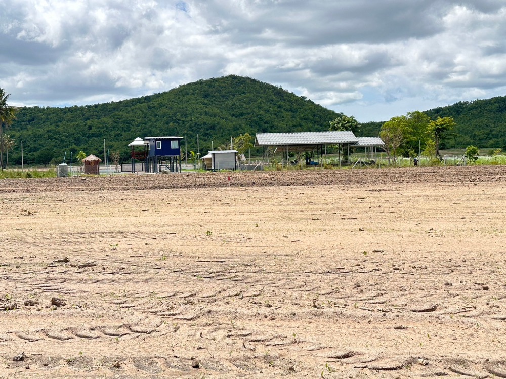 For SaleLandCha-am Phetchaburi : Land in Cha-am, size 100 sq m, installments 15900 baht.
