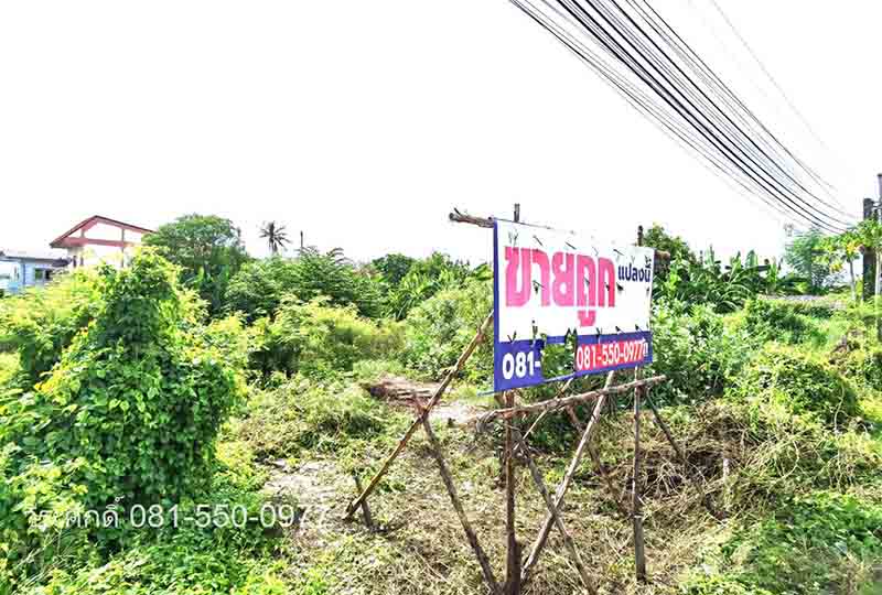 ขายที่ดินบางแค เพชรเกษม : ขายถูกที่สุด ที่ดินถมแล้ว 315 ตรว. ซอยเพชรเกษม 77 แยก 3-8 ใกล้ รพ.วิชัยเวช เยื้อง ช่อง 3 หนองแขม เพชรเกษม 69 เพชรเกษม 81 มหาวิทยาลัยเอเชียอาคเนย์ โฮมโปรเพชรเกษม อัสสัมชัญธนบุรี อนุบาลเลิศหล้า โรงงานชาตรามือ