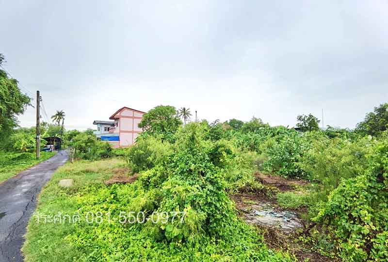 ขายที่ดินบางแค เพชรเกษม : ขายถูกที่สุด ที่ดินถมแล้ว 315 ตรว. ซอยเพชรเกษม 77 แยก 3-8 ใกล้ รพ.วิชัยเวช เยื้อง ช่อง 3 หนองแขม เพชรเกษม 69 เพชรเกษม 81 มหาวิทยาลัยเอเชียอาคเนย์ โฮมโปรเพชรเกษม อัสสัมชัญธนบุรี อนุบาลเลิศหล้า โรงงานชาตรามือ