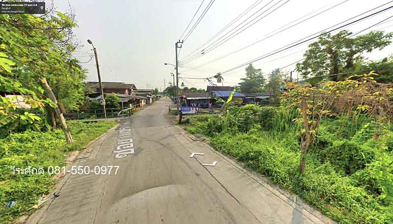 ขายที่ดินบางแค เพชรเกษม : ขายถูกที่สุด ที่ดินถมแล้ว 315 ตรว. ซอยเพชรเกษม 77 แยก 3-8 ใกล้ รพ.วิชัยเวช เยื้อง ช่อง 3 หนองแขม เพชรเกษม 69 เพชรเกษม 81 มหาวิทยาลัยเอเชียอาคเนย์ โฮมโปรเพชรเกษม อัสสัมชัญธนบุรี อนุบาลเลิศหล้า โรงงานชาตรามือ