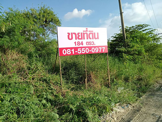 ขายที่ดินพัฒนาการ ศรีนครินทร์ : ขายถูก ที่ดิน 184 ตรว. ซอยพัฒนาการ 98 ใกล้สวนหลวง ร.9 ถนนเฉลิมพระเกียรติ ร.9 ถนนอ่อนนุช ถนนลาดกระบัง ถนนศรีนครินทร์ ซีคอนสแควร์ พาราไดซ์พาร์ค เตรียมอุดมศึกษาพัฒนาการ โรงเรียนนานาชาติ เวลลิงตัน คอลเลจ ARLหัวหมาก