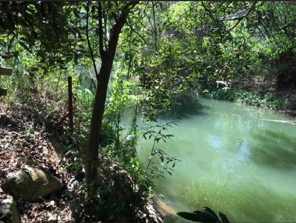 For SaleLandPak Chong KhaoYai : 🏞️For sale in Khao Yai, next to Lam Takhong water, 1 rai, near Thanarat Road, only 2.5 km., very beautiful waterfront. Wide front, next to a flowing stream, water and electricity ready in the project, neighbor to grade A resort, Pak Chong.