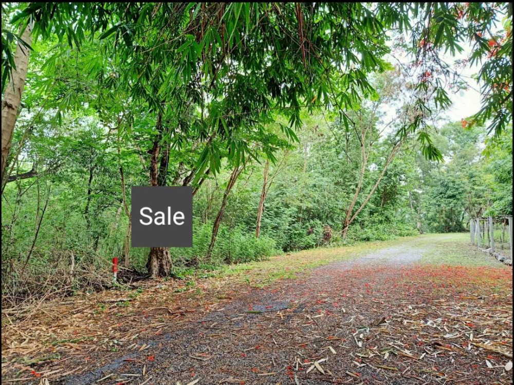 For SaleLandPathum Thani,Rangsit, Thammasat : 🔥Land for sale in Pathum Thani, 2 rai, Soi Laem Thong Technology, Bang Luang Subdistrict, Mueang Pathum District, surrounded by water, suitable for making a house, agricultural plot, urgent sale!!