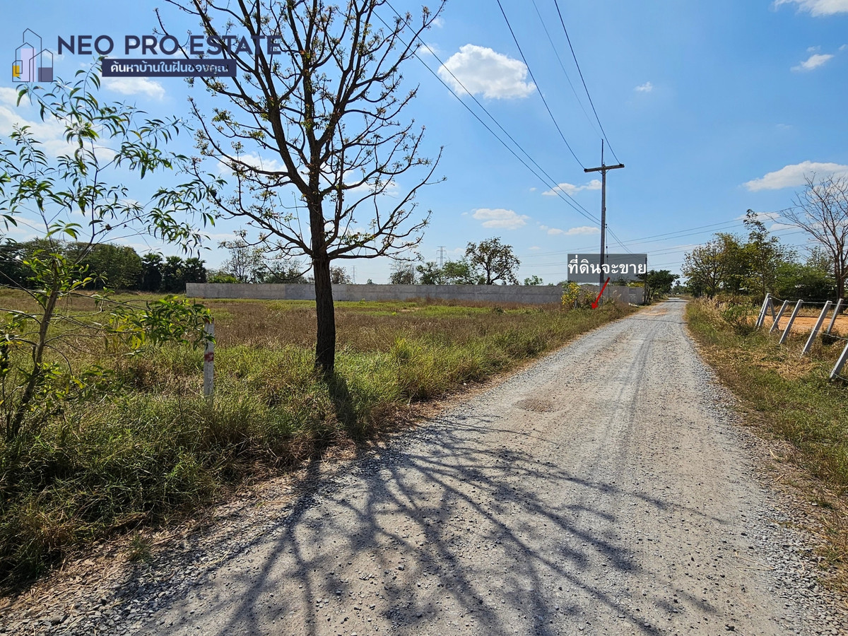 ขายที่ดินขอนแก่น : ที่ดินแปลงสวย ใกล้สนามบินขอนแก่น 1ไร่ หน้ากว้าง 25ม. ถมดินแล้ว น้ำไม่ท่วม มีน้ำประปา ไฟฟ้า