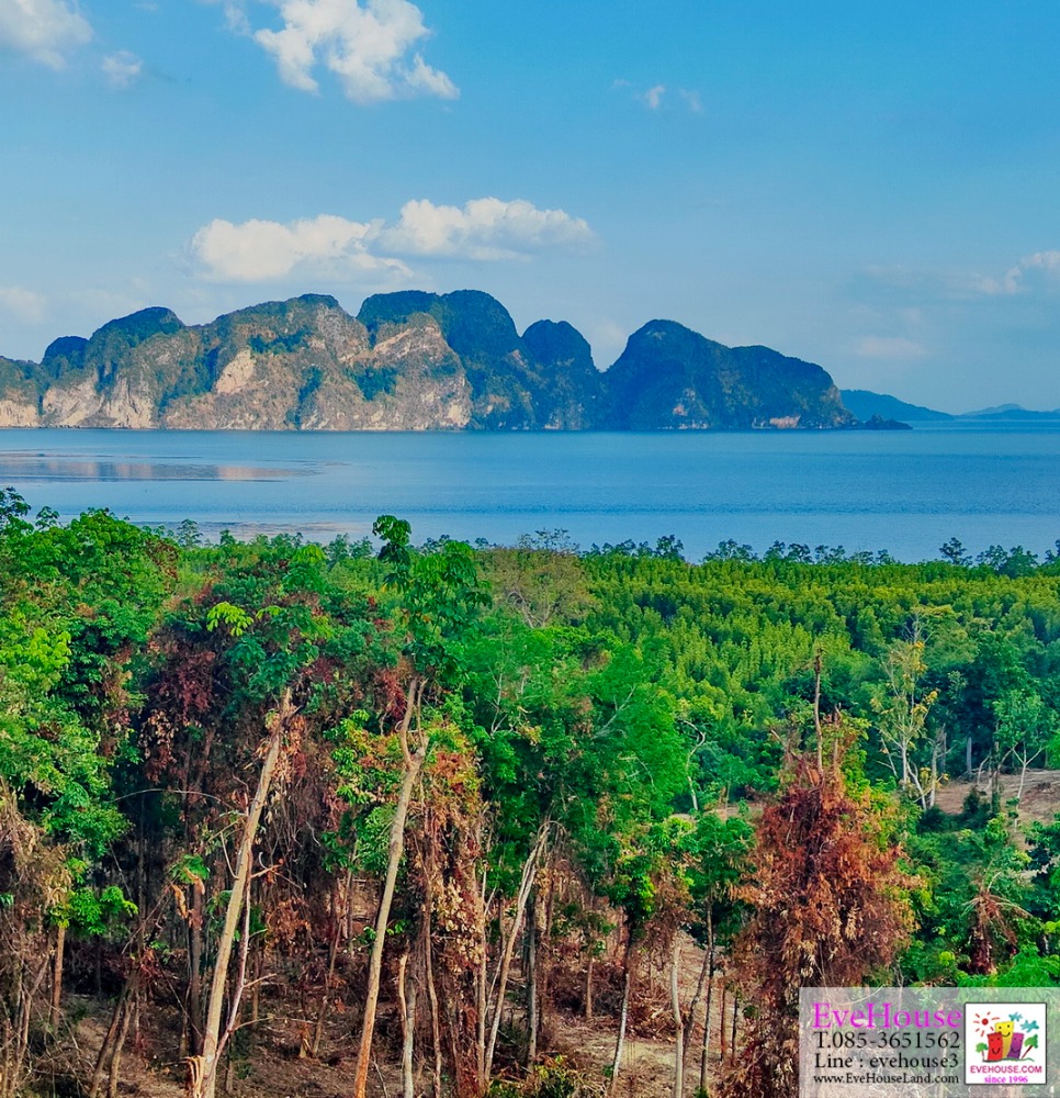 For SaleLandPhangnga : Land for sale, Samet Nangshe view, Phang Nga Province, 47.5 rai