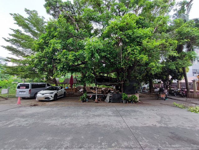 For SaleLandRamkhamhaeng, Hua Mak : Land for sale Ramkhamhaeng 42, near BTS station 800 M, near The Mall Bangkapi. Near Ramkhamhaeng University