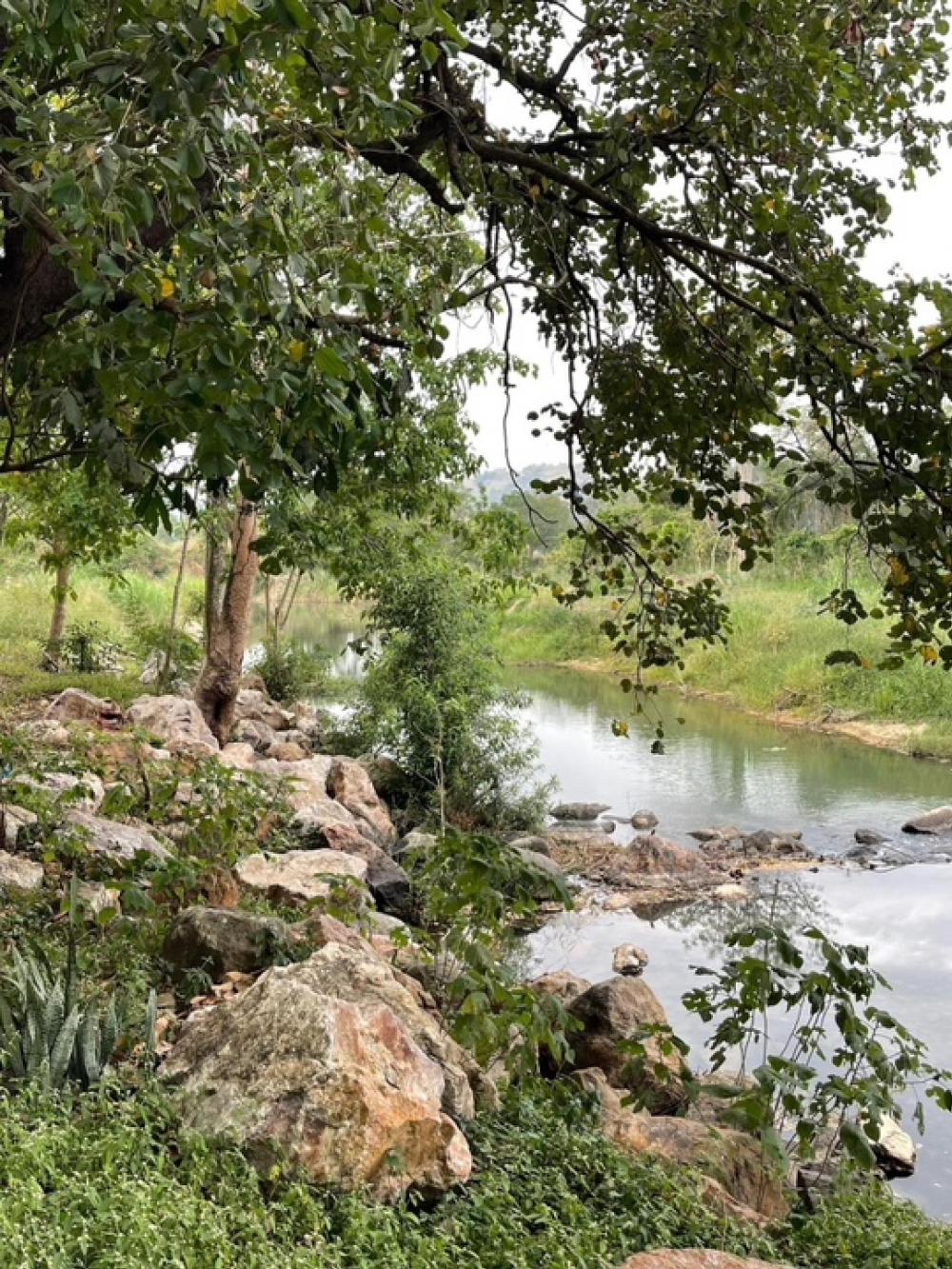 ขายที่ดินสระบุรี : 📢👇ขาย บ้าน ติดลำธาร และที่ดิน โฉนด ครุฑแดง ซื้อทั้งหมด หรือ  แบ่งซื้อ ได้ เหมาะ ที่จะ เป็น ทั้งบ้านพักตากอากาศ ลงทุน ทำสวน