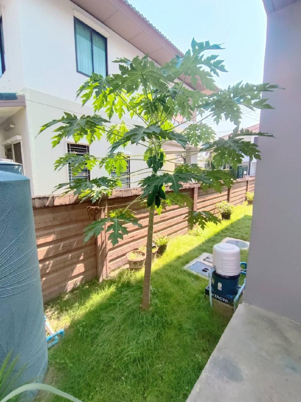 ขายบ้านพระราม 5 ราชพฤกษ์ บางกรวย : ฮาบิเทียหลังมุม ถ.345 ราชพฤกษ์ ระบบความปลอดภัยดีมาก