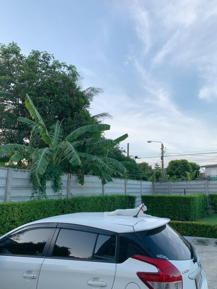 For SaleTownhomePattanakan, Srinakarin : P-2487 Urgent sale and rental! Unio Town Suan Luang-Phatthanakan, beautiful house in the heart of the city, near the expressway.