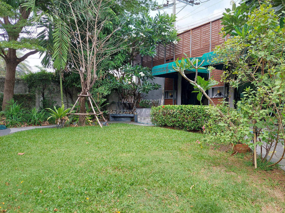 ขายบ้านลาดพร้าว เซ็นทรัลลาดพร้าว : ขาย-เช่า บ้านเดี่ยวใจกลางลาดพร้าว The Gallery House 1 เข้า-ออกได้หลายเส้นทาง ลาดพร้าว รัชดา และถนนพหลโยธิน และรถไฟฟ้า 3 สถานี 