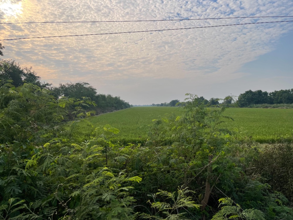 For SaleLandPathum Thani,Rangsit, Thammasat : Land for Sale in Lam Luk Ka, Khlong 11, Pathum Thani