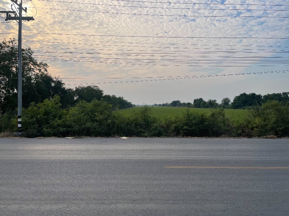 ขายที่ดินปทุมธานี รังสิต ธรรมศาสตร์ : ขายที่ดิน ลำลูกกา คลอง 11 ปทุมธานี ใกล้ Reignwood Park