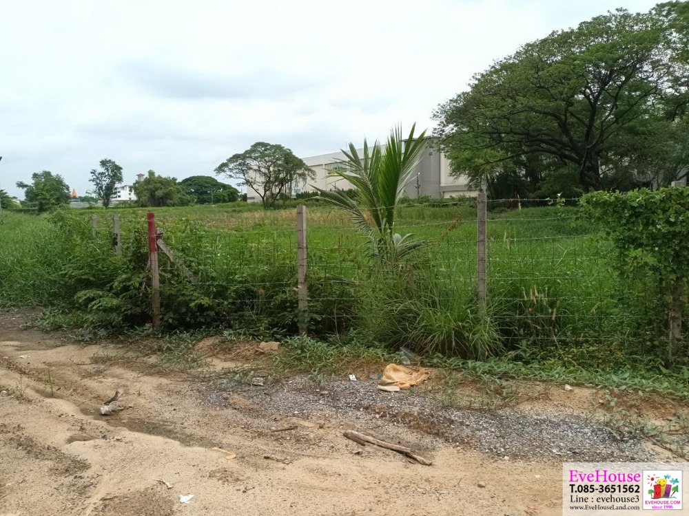 For SaleLandChaengwatana, Muangthong : Land near Muang Thong Thani, corner plot, 10.5 rai, wide frontage