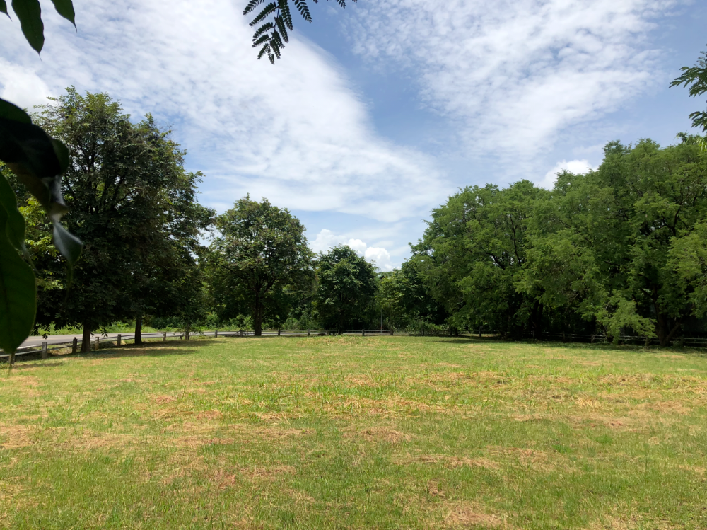 For SaleLandSaraburi : Land for sale in Muak Lek Valley, 2 adjacent plots, beautiful, location near the Air Force Academy, Khao Yai National Park, Chet Sao Noi Waterfall National Park (587 square wah)