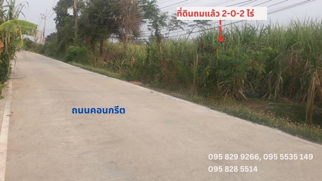 For SaleLandPathum Thani,Rangsit, Thammasat : Cheap land for sale, 2-0-2 rai, next to a concrete road. To build a house or make a warehouse Ten-wheel vehicles can enter. Near Dhammakaya Temple and near Pee Ya Chili Paste Factory, Khlong Luang, Khlong 3, water and electricity ready, Pathum Thani.