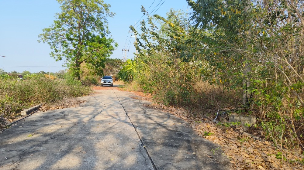 ขายที่ดินปทุมธานี รังสิต ธรรมศาสตร์ : ที่ดินจัดสรรในเขตเทศบาลลาดหลุมแก้ว จ.ปทุมธานี, ปทุมธานี