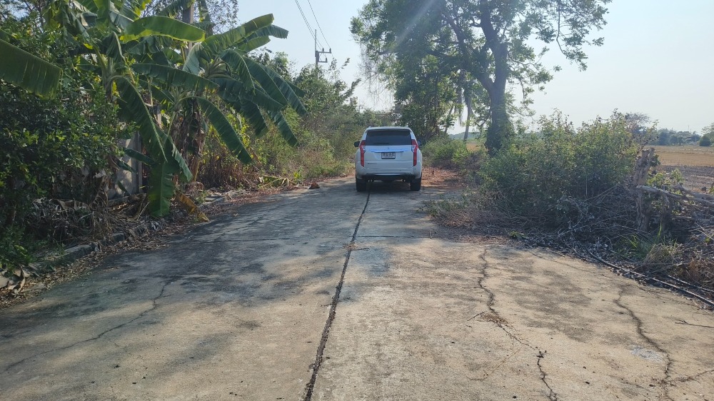 ขายที่ดินปทุมธานี รังสิต ธรรมศาสตร์ : ที่ดินจัดสรรในเขตเทศบาลลาดหลุมแก้ว จ.ปทุมธานี, ปทุมธานี