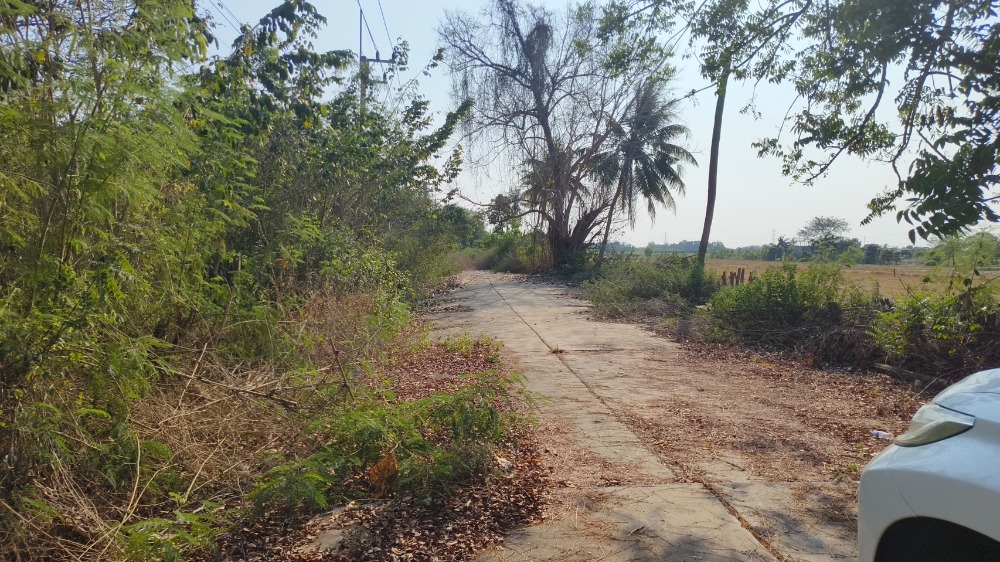 ขายที่ดินปทุมธานี รังสิต ธรรมศาสตร์ : ที่ดินจัดสรรในเขตเทศบาลลาดหลุมแก้ว จ.ปทุมธานี, ปทุมธานี