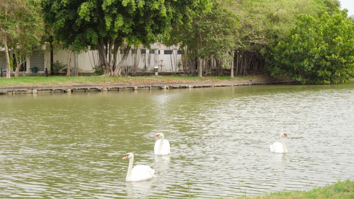 For SaleHouseChaengwatana, Muangthong : Beautiful 2-story house for sale, area approximately 1 rai, Karuehat Thayat Village.