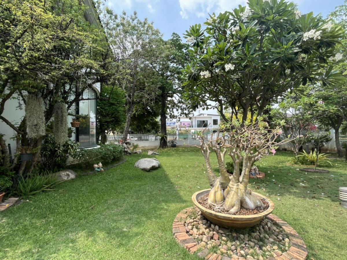 For SaleHouseChaengwatana, Muangthong : Beautiful 2-story house for sale, area approximately 1 rai, Karuehat Thayat Village.