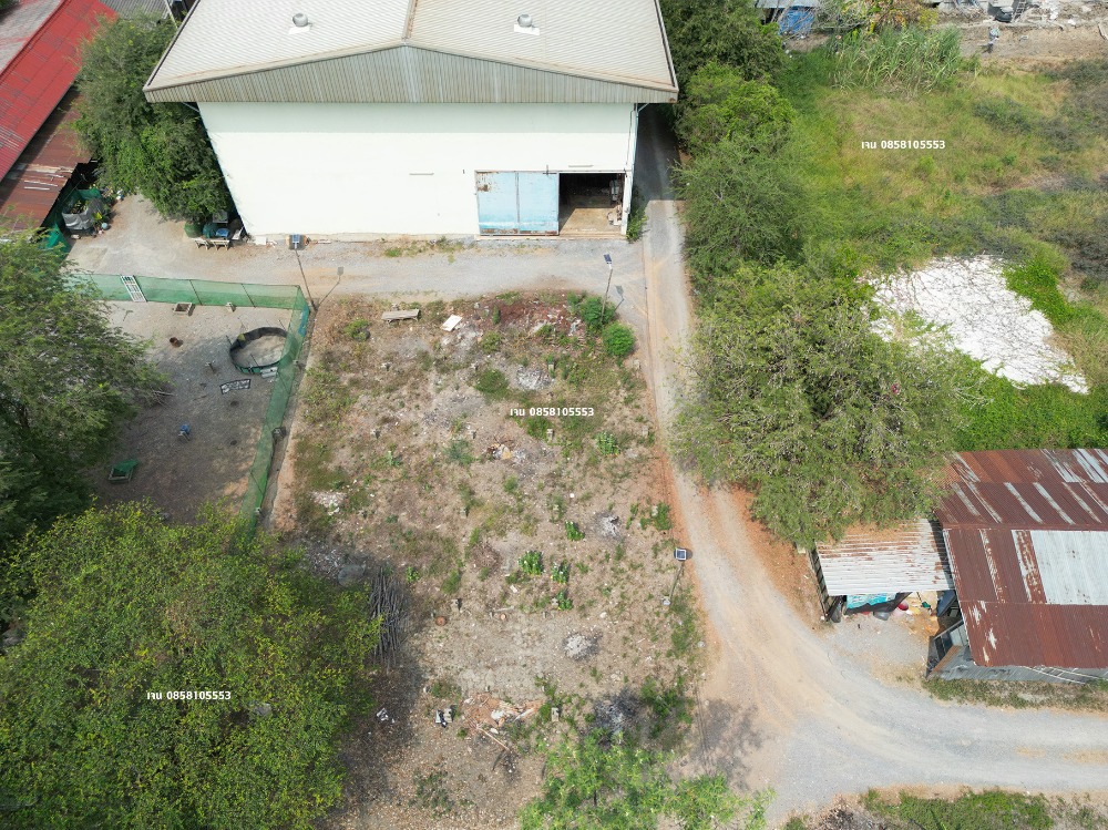 ขายโรงงานนนทบุรี บางใหญ่ บางบัวทอง : ขายโรงงาน โกดัง คลังสินค้า ขายที่ 60% ของราคาประเมิน ประเมิน 50 ล้าน ขายเพียง 30 ล้าน บางบัวทอง ถนนวัดลาดปลาดุก ถนนเลียบคลองนายหลีก ซอยวัดลาดปลาดุก ต.บางคูรัด อ.บางบัวทอง จ.นนทบุรี