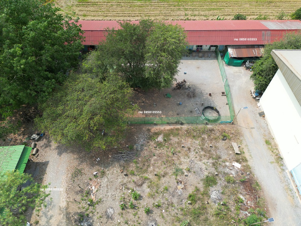 ขายโรงงานนนทบุรี บางใหญ่ บางบัวทอง : ขายโรงงาน โกดัง คลังสินค้า ขายที่ 60% ของราคาประเมิน ประเมิน 50 ล้าน ขายเพียง 30 ล้าน บางบัวทอง ถนนวัดลาดปลาดุก ถนนเลียบคลองนายหลีก ซอยวัดลาดปลาดุก ต.บางคูรัด อ.บางบัวทอง จ.นนทบุรี