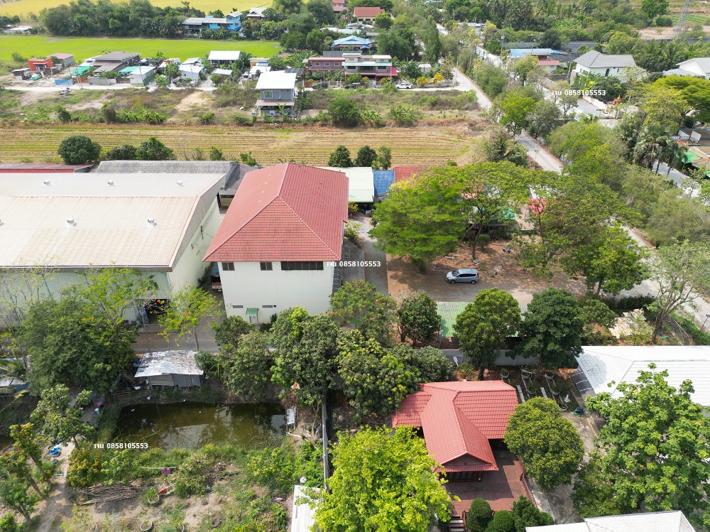 ขายโรงงานนนทบุรี บางใหญ่ บางบัวทอง : ขายโรงงาน โกดัง คลังสินค้า ขายที่ 60% ของราคาประเมิน ประเมิน 50 ล้าน ขายเพียง 30 ล้าน บางบัวทอง ถนนวัดลาดปลาดุก ถนนเลียบคลองนายหลีก ซอยวัดลาดปลาดุก ต.บางคูรัด อ.บางบัวทอง จ.นนทบุรี