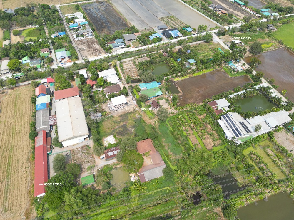 ขายโรงงานนนทบุรี บางใหญ่ บางบัวทอง : ขายโรงงาน โกดัง คลังสินค้า ขายที่ 60% ของราคาประเมิน ประเมิน 50 ล้าน ขายเพียง 30 ล้าน บางบัวทอง ถนนวัดลาดปลาดุก ถนนเลียบคลองนายหลีก ซอยวัดลาดปลาดุก ต.บางคูรัด อ.บางบัวทอง จ.นนทบุรี