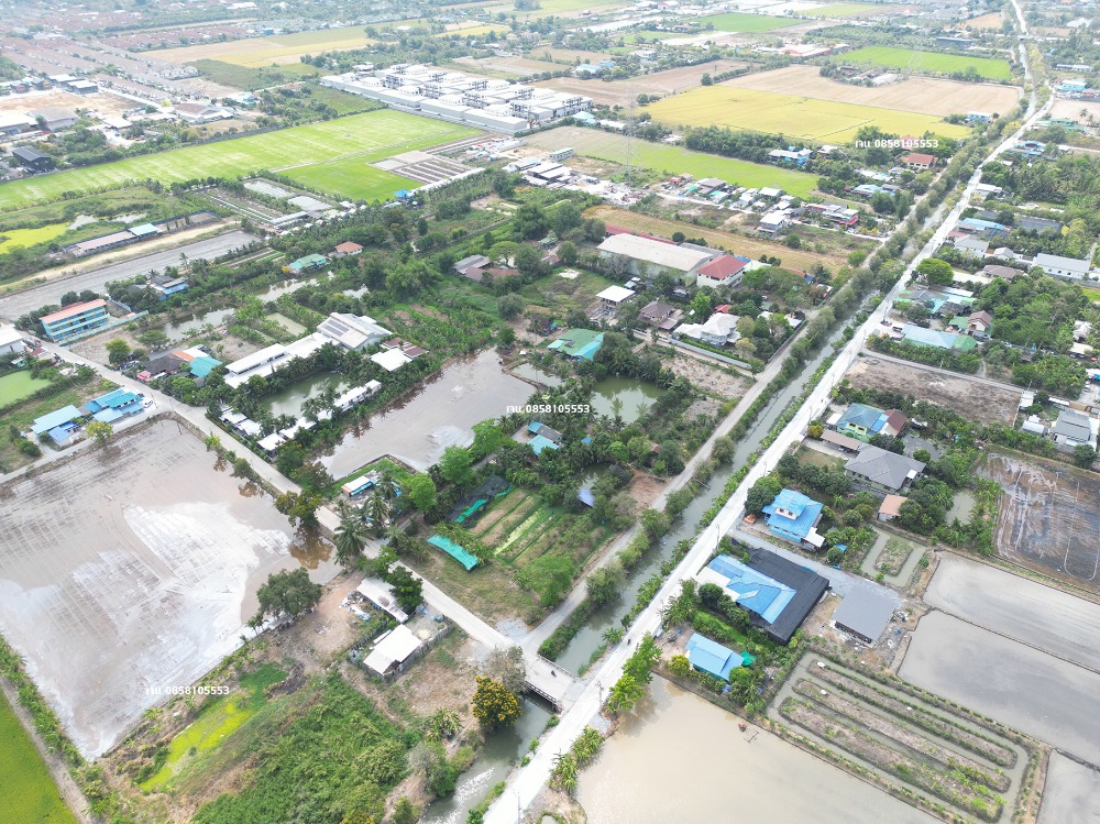 ขายโรงงานนนทบุรี บางใหญ่ บางบัวทอง : ขายโรงงาน โกดัง คลังสินค้า ขายที่ 60% ของราคาประเมิน ประเมิน 50 ล้าน ขายเพียง 30 ล้าน บางบัวทอง ถนนวัดลาดปลาดุก ถนนเลียบคลองนายหลีก ซอยวัดลาดปลาดุก ต.บางคูรัด อ.บางบัวทอง จ.นนทบุรี