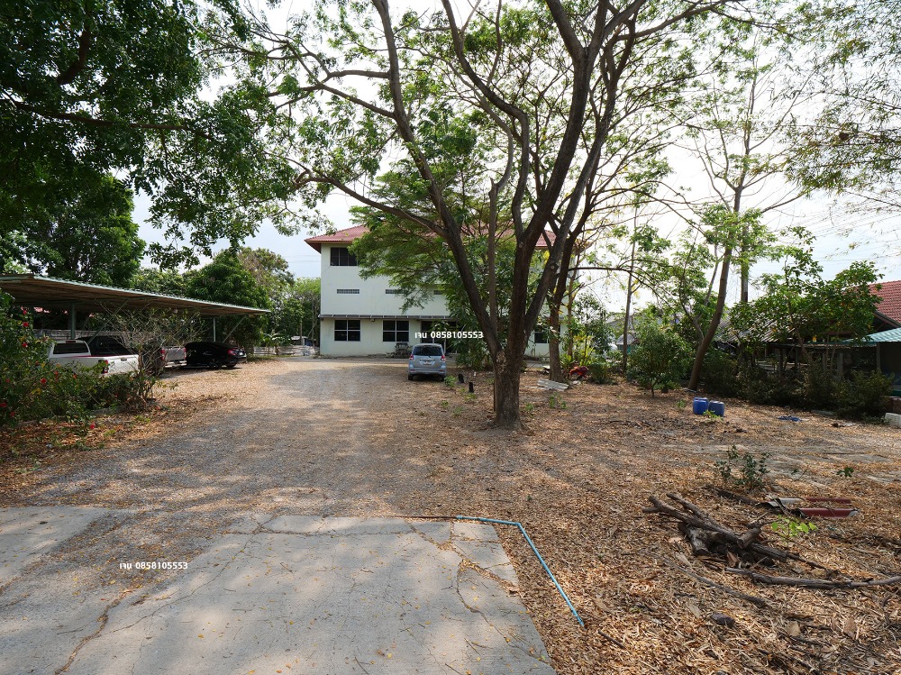 ขายโรงงานนนทบุรี บางใหญ่ บางบัวทอง : ขายโรงงาน โกดัง คลังสินค้า ขายที่ 60% ของราคาประเมิน ประเมิน 50 ล้าน ขายเพียง 30 ล้าน บางบัวทอง ถนนวัดลาดปลาดุก ถนนเลียบคลองนายหลีก ซอยวัดลาดปลาดุก ต.บางคูรัด อ.บางบัวทอง จ.นนทบุรี