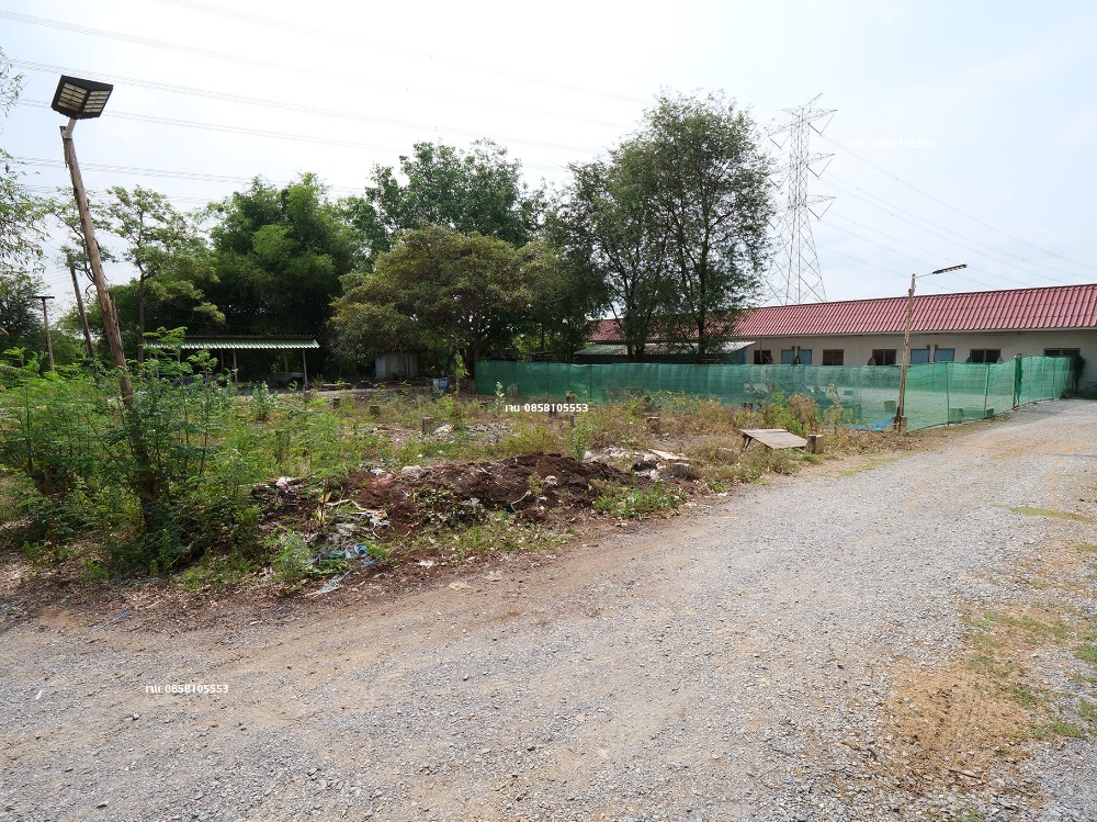 ขายโรงงานนนทบุรี บางใหญ่ บางบัวทอง : ขายโรงงาน โกดัง คลังสินค้า ขายที่ 60% ของราคาประเมิน ประเมิน 50 ล้าน ขายเพียง 30 ล้าน บางบัวทอง ถนนวัดลาดปลาดุก ถนนเลียบคลองนายหลีก ซอยวัดลาดปลาดุก ต.บางคูรัด อ.บางบัวทอง จ.นนทบุรี