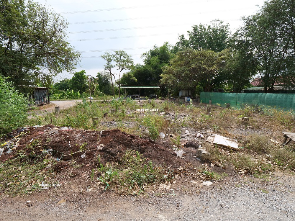 ขายโรงงานนนทบุรี บางใหญ่ บางบัวทอง : ขายโรงงาน โกดัง คลังสินค้า ขายที่ 60% ของราคาประเมิน ประเมิน 50 ล้าน ขายเพียง 30 ล้าน บางบัวทอง ถนนวัดลาดปลาดุก ถนนเลียบคลองนายหลีก ซอยวัดลาดปลาดุก ต.บางคูรัด อ.บางบัวทอง จ.นนทบุรี