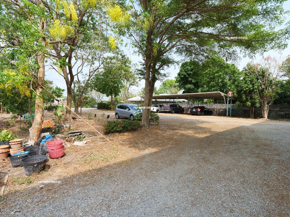 ขายโรงงานนนทบุรี บางใหญ่ บางบัวทอง : ขายโรงงาน โกดัง คลังสินค้า ขายที่ 60% ของราคาประเมิน ประเมิน 50 ล้าน ขายเพียง 30 ล้าน บางบัวทอง ถนนวัดลาดปลาดุก ถนนเลียบคลองนายหลีก ซอยวัดลาดปลาดุก ต.บางคูรัด อ.บางบัวทอง จ.นนทบุรี