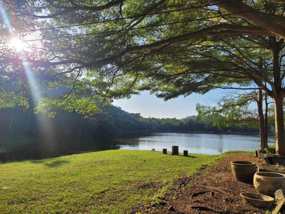 ขายที่ดินราชบุรี : ขาย ที่ดิน ราชบุรี วิวเขา มีบึงน้ำใหญ่ เป็นส่วนตัว มีทางเข้าหลัก 2 ทาง จากถนนเพชรเกษม เพียง 3 นาทีขนาด 27 ไร่ 2 งาน 35 ตร.ว