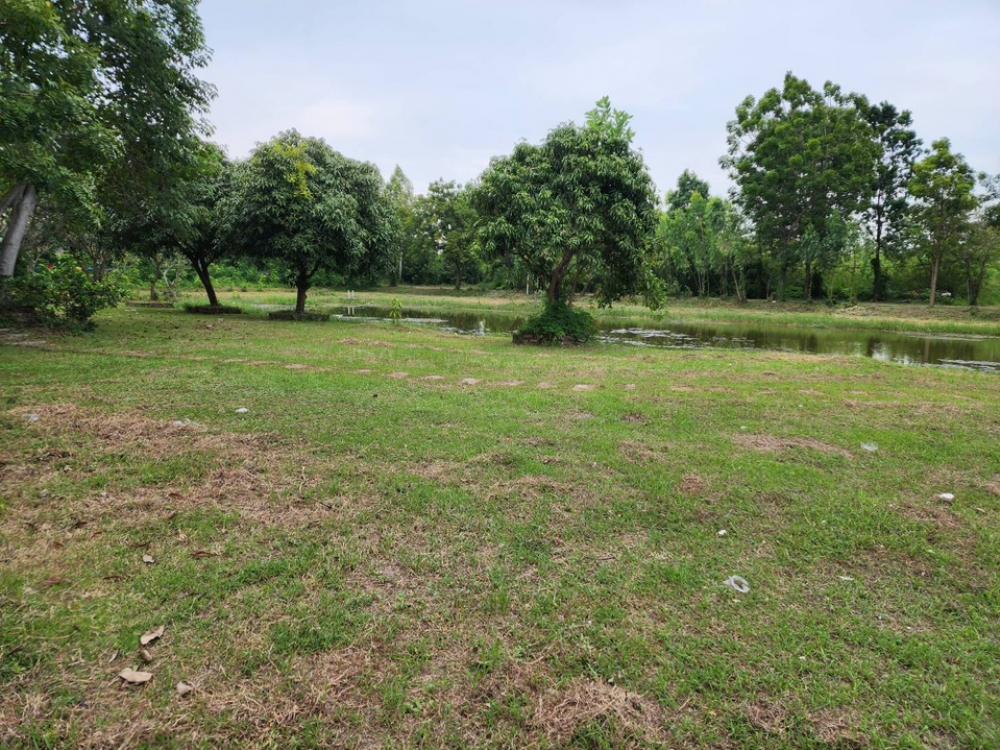 ขายที่ดินราชบุรี : ขาย ที่ดิน ราชบุรี วิวเขา มีบึงน้ำใหญ่ เป็นส่วนตัว มีทางเข้าหลัก 2 ทาง จากถนนเพชรเกษม เพียง 3 นาทีขนาด 27 ไร่ 2 งาน 35 ตร.ว