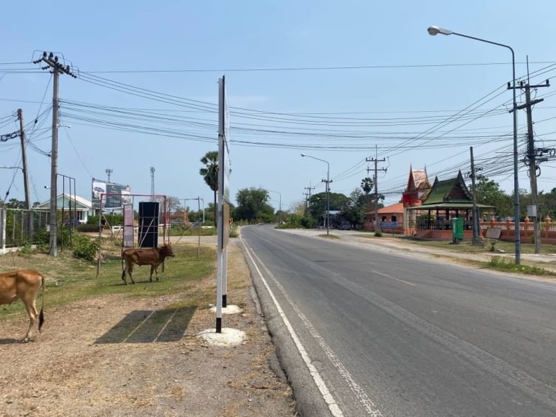 ขายที่ดินชะอำ เพชรบุรี : ขายที่ดิน 18 ไร่ 52 ตารางวา ติดทางหลวงแผ่นดินสายเพชรบุรี-บ้านแหลมฝั่งตะวันออก เป็นที่ดินถมเรียบร้อยแล้ว อำเภอเมืองเพชรบุรี ตำบลหนองโสน จังหวัดเพชรบุรี