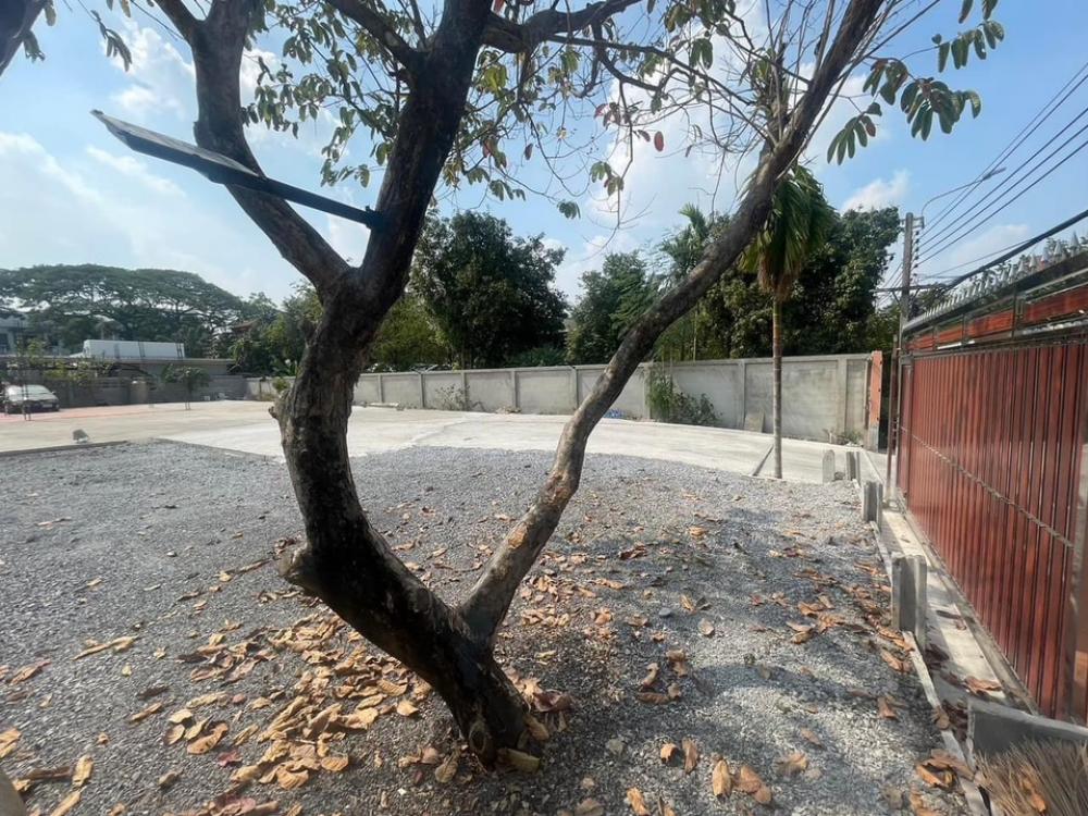 For SaleLandNawamin, Ramindra : 📢👇ขายที่ดิน รามอินทรา ทำเลดี ราคาดี เดินทางสะดวก ได้หลายเส้นทาง ใกล้ทางขึ้นทางด่วน ถมสูง พร้อมปลูกสร้างอาคารได้เลย