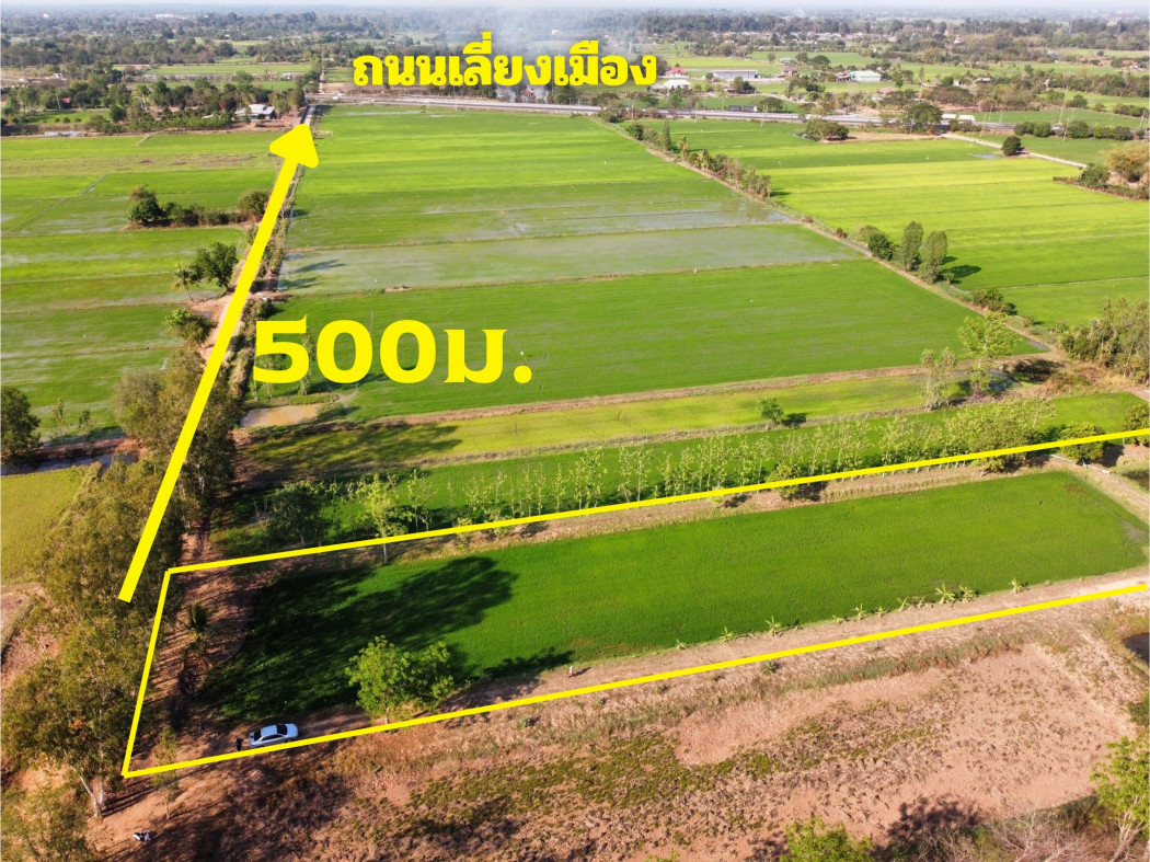 For SaleLandKhon Kaen : Land for sale in Khon Kaen Near the bypass road, Bueng Niam Subdistrict, Mueang District.