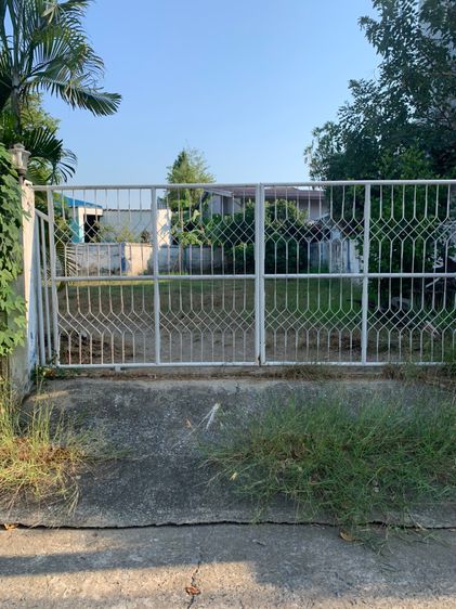 ขายที่ดินแจ้งวัฒนะ เมืองทอง : ขายที่ดิน เมืองทองธานี 55.30 ตร.ว. ที่ถมแล้ว หมู่บ้านเมืองทองธานี โครงการ 4 ที่ดินแบ่งแล้ว