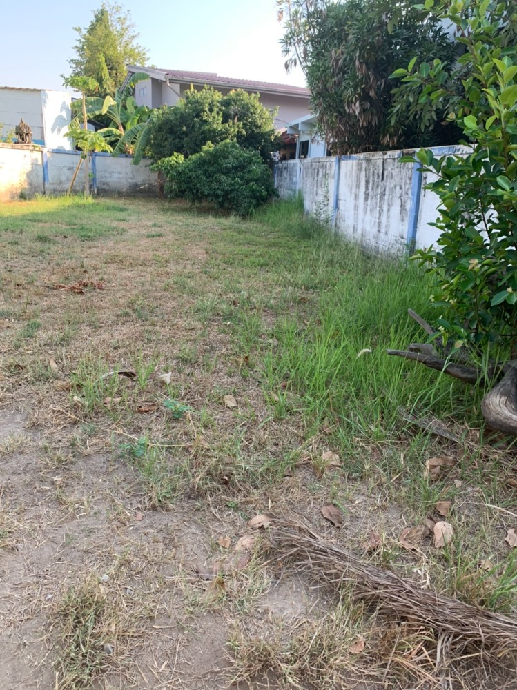 ขายที่ดินแจ้งวัฒนะ เมืองทอง : ขายที่ดิน เมืองทองธานี 55.30 ตร.ว. ที่ถมแล้ว หมู่บ้านเมืองทองธานี โครงการ 4 ที่ดินแบ่งแล้ว