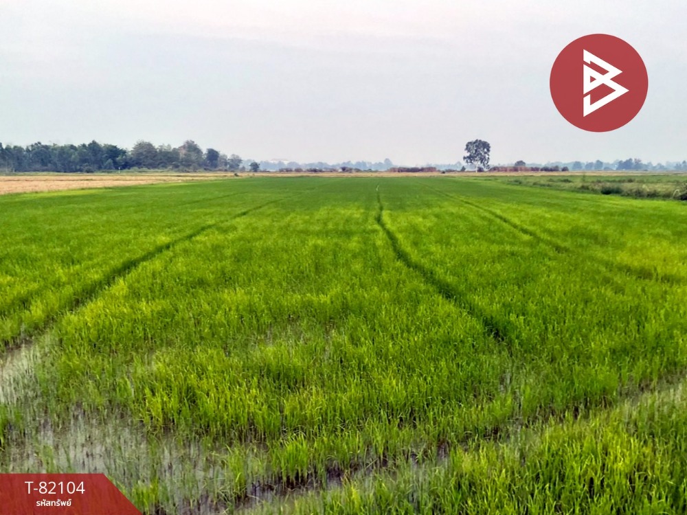 For SaleLandPhitsanulok : Land for sale, area 23 rai 1 ngan 71.5 square wah, Samo Khae, Phitsanulok.