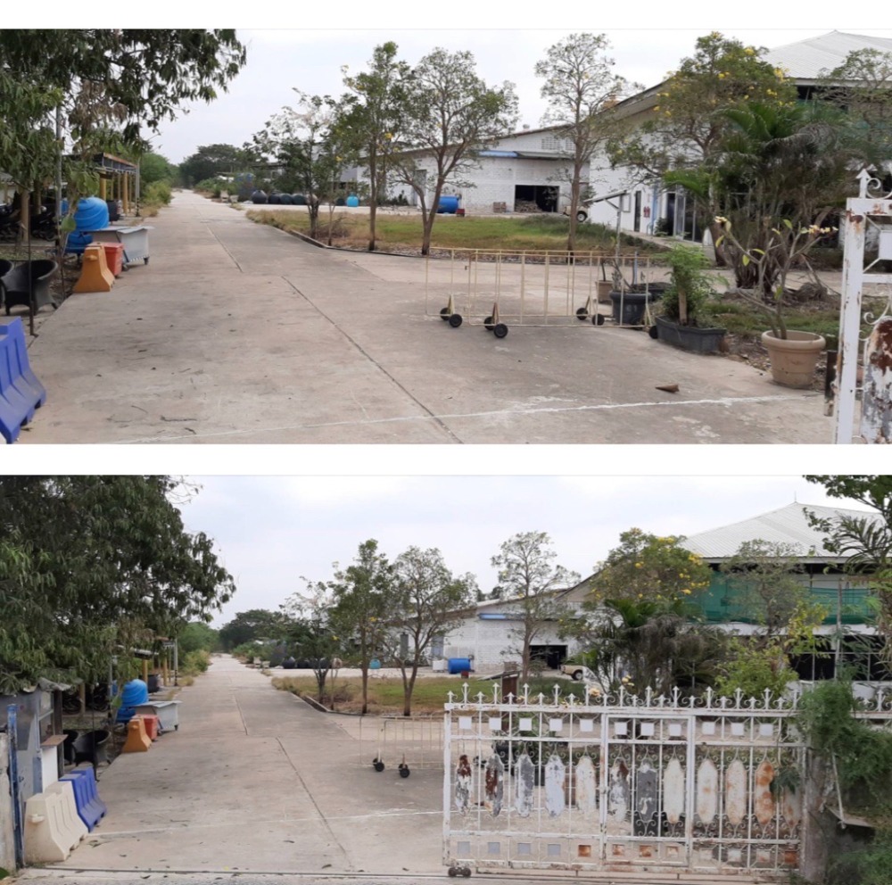 ขายที่ดินลพบุรี : ขายที่ดิน ท่าวุ้ง ลพบุรี แปลงหลังโรงงาน 23 ไร่