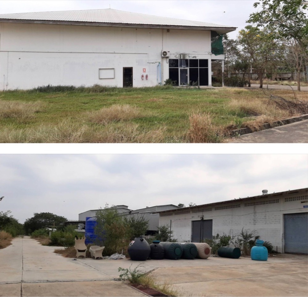 ขายที่ดินลพบุรี : ขายที่ดิน ท่าวุ้ง ลพบุรี แปลงหลังโรงงาน 23 ไร่