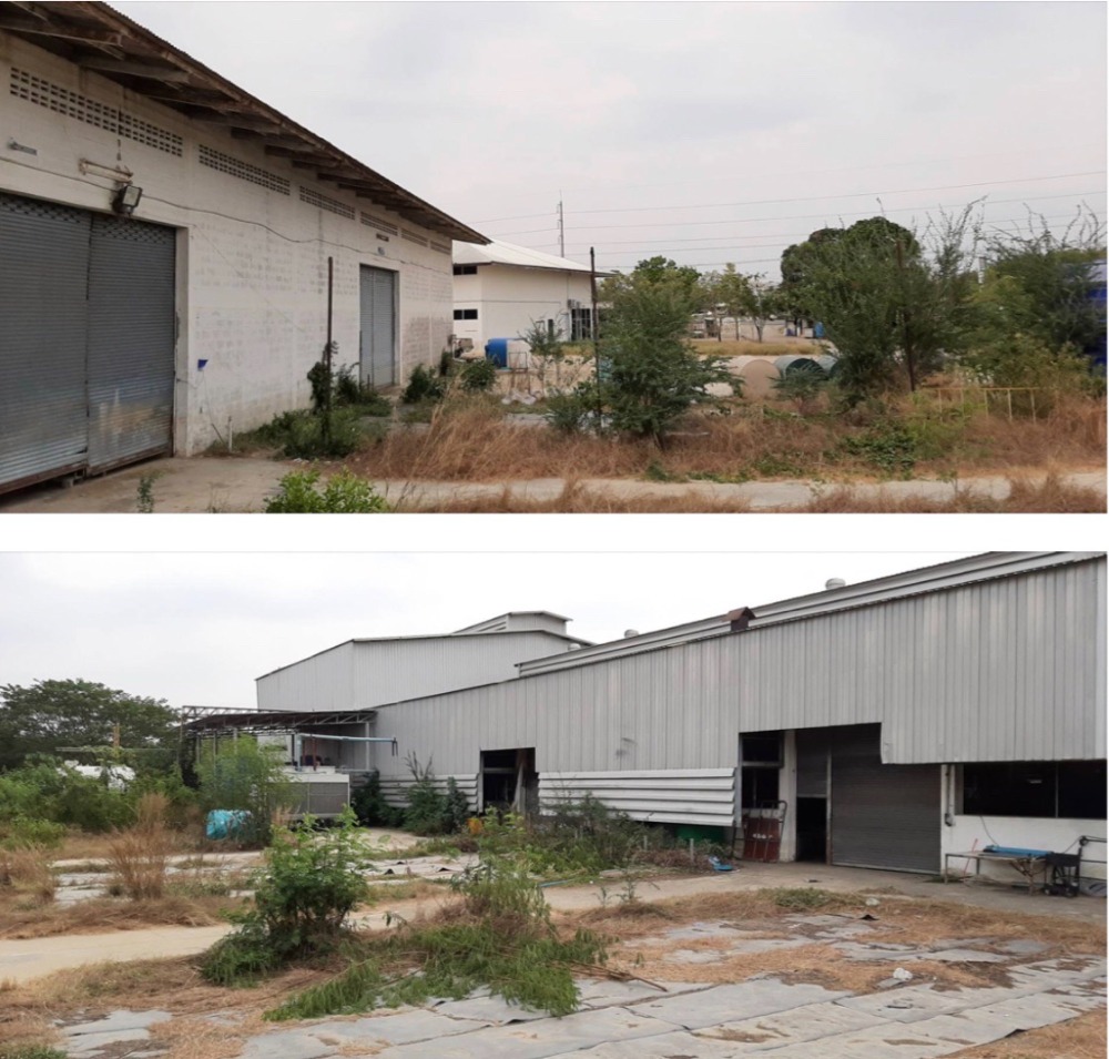 ขายที่ดินลพบุรี : ขายที่ดิน ท่าวุ้ง ลพบุรี แปลงหลังโรงงาน 23 ไร่