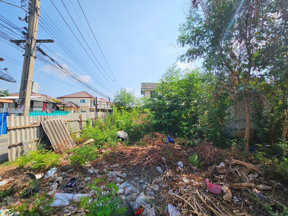 ขายที่ดินวิภาวดี ดอนเมือง หลักสี่ : ขาย ที่ดินเปล่า 60 ตร.วา ซ.เทิดราชัน 15 ดอนเมือง ราคาไม่แพง เหมาะสร้างบ้าน