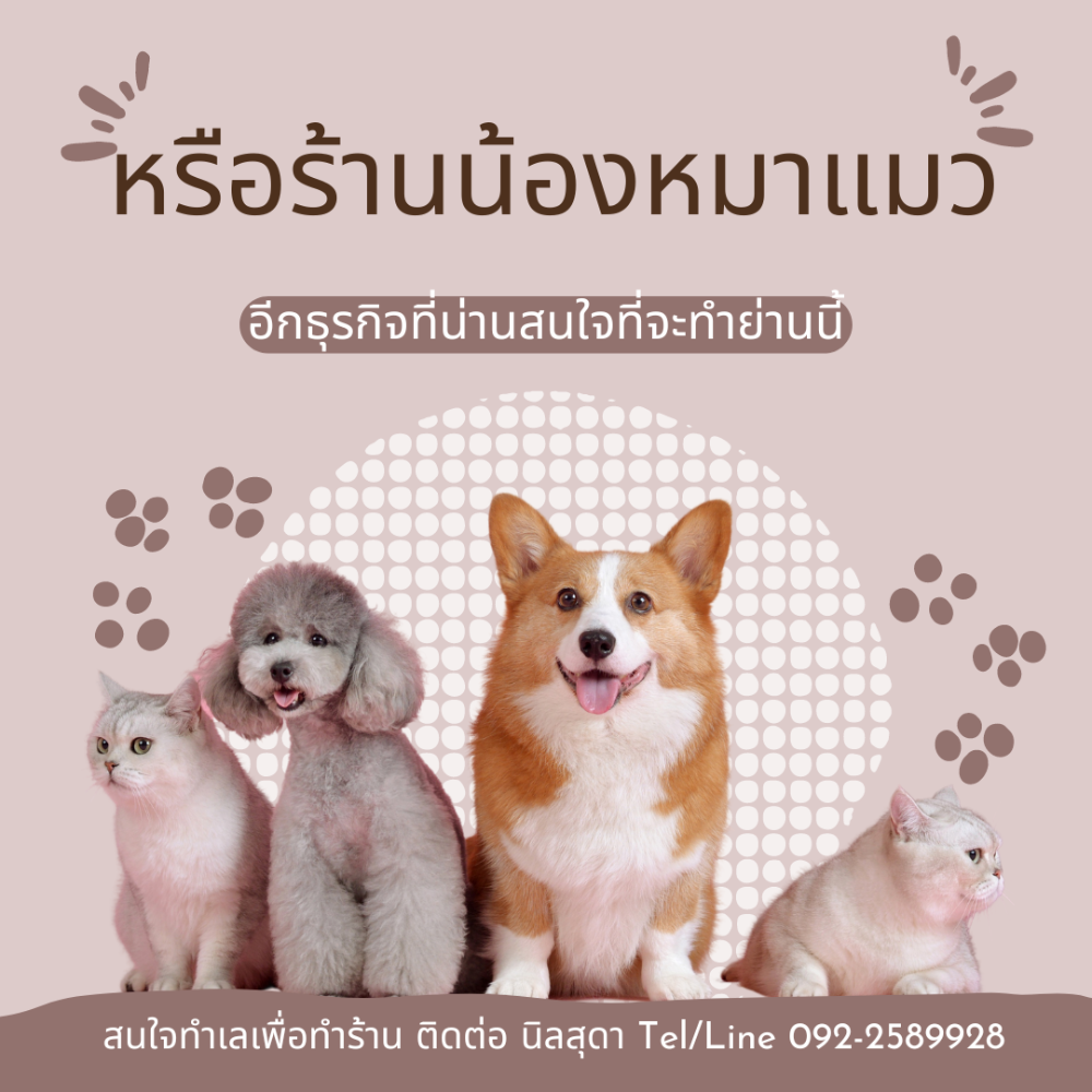 For SaleShop HouseRama5, Ratchapruek, Bangkruai : Commercial & Living space for sale, suitable for business Near the central office, City Hall Subdistrict, Bang Kruai, an area where only public companies build houses for sale.