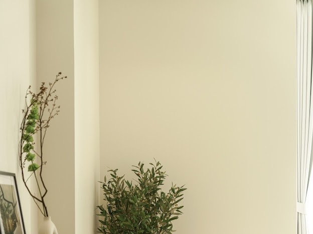 For RentCondoWitthayu, Chidlom, Langsuan, Ploenchit : for rent 1 bedroom biggest size 57sqm. fully furnished