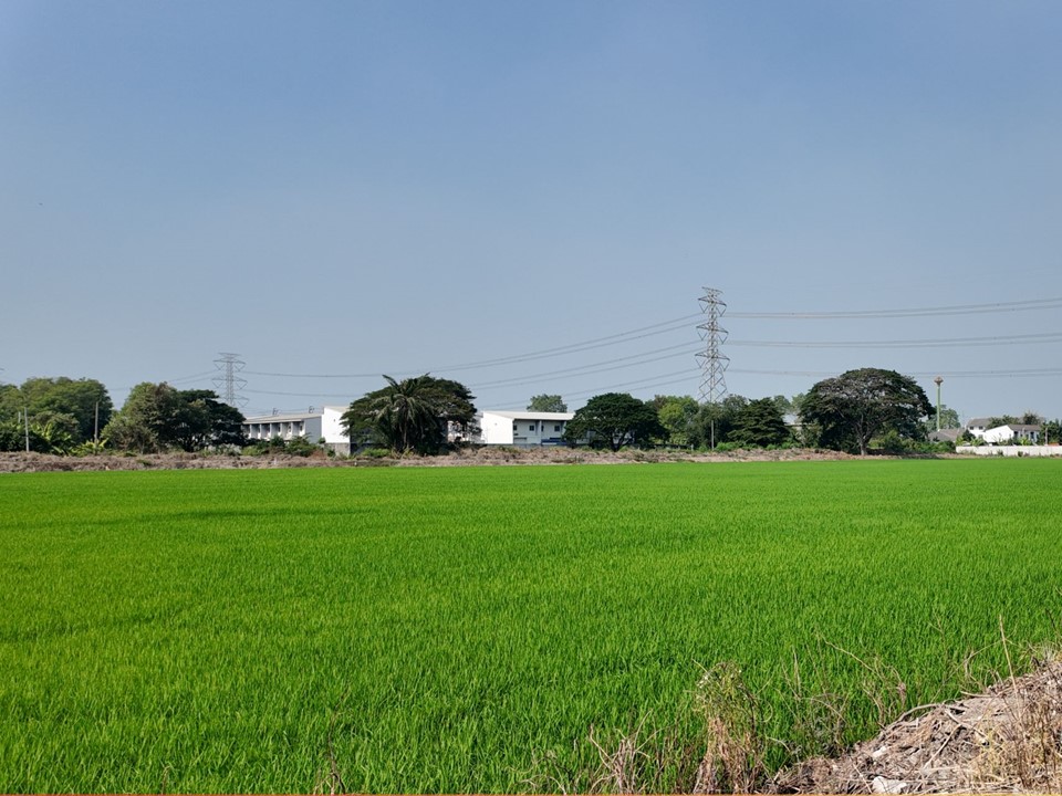 ขายที่ดินบางซื่อ วงศ์สว่าง เตาปูน : ขายที่ดินบางกรวย กรุงเทพ ติดบิ๊กซีซุปเปอร์เซ็นเตอร์ไทรน้อย 19 ไร่ กว่า สำหรับพัฒนา โกดัง ศูนย์กระจายสินค้า