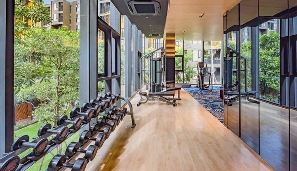 ขายคอนโดภูเก็ต : เดอะเบส เซ็นทรัล Condo for Sale in Town, Phuket