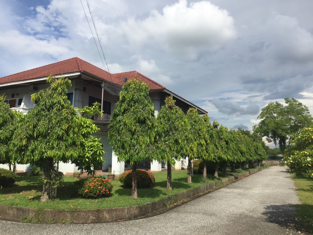 ขายบ้านอุตรดิตถ์ : ขาย คฤหาสน์หรู 10 ไร่ เฟอร์นิเจอร์บิวอินไม้สักทั้งหลัง ติดถนนใหญ่ 1041(พระแท่น - อุตรดิตถ์) ทำเลดีติดปั้ม ปตท (ลับแล) ใกล้ มหาวิทยาลัยราชภัฏอุตรดิตถ์